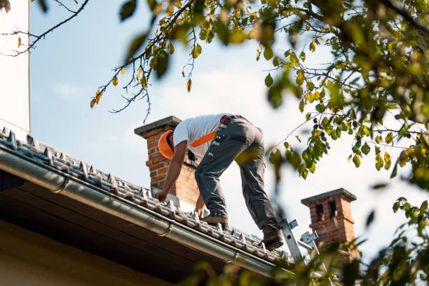 Quick and Trustworthy Emergency Roof Repair Services in Bealeton, VA
